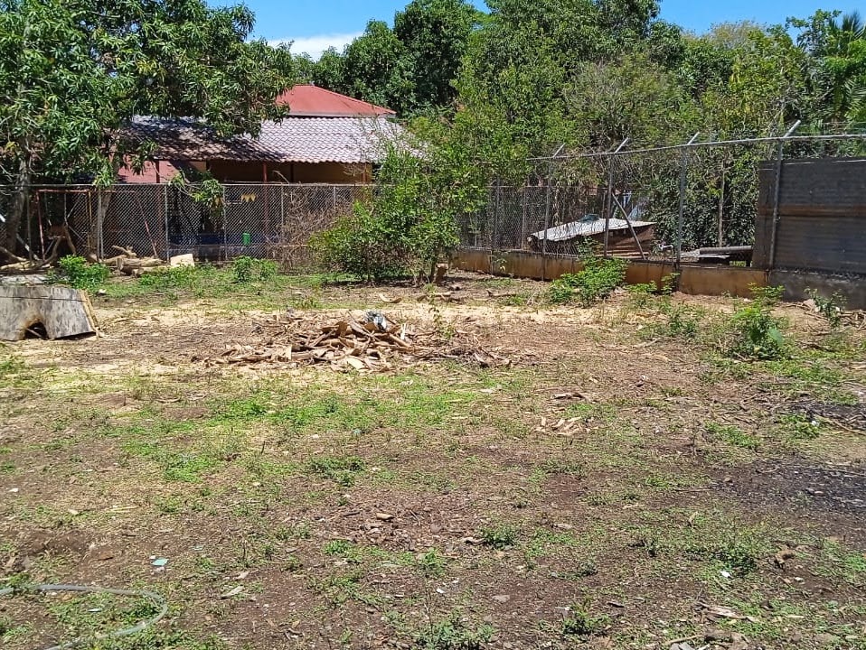 Terreno antes de iniciar la construcción